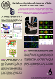 Night photostimulation of clearance of beta-amyloid from mouse brain